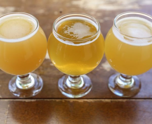 Flight of hazy and clear beers in small tulip style glasses