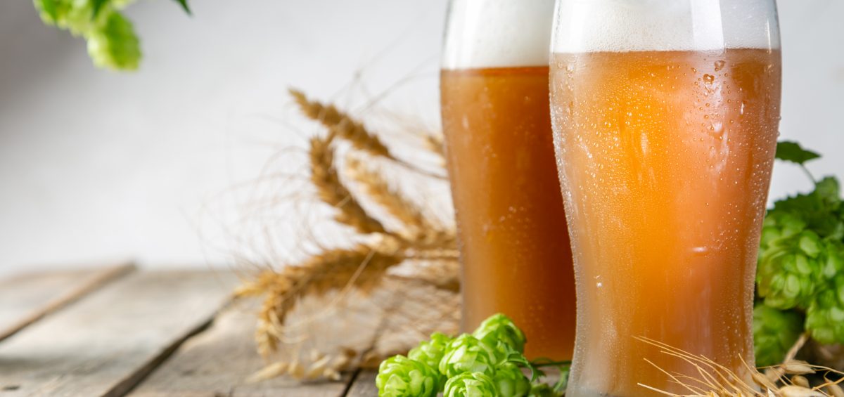 Beer and ingredients hops, wheat, barley on wood background, copy space