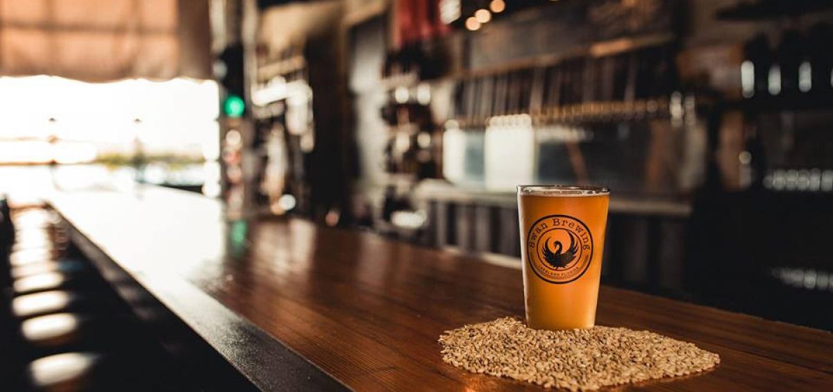 Swan Brewing tasting room with glass on wooden bar top