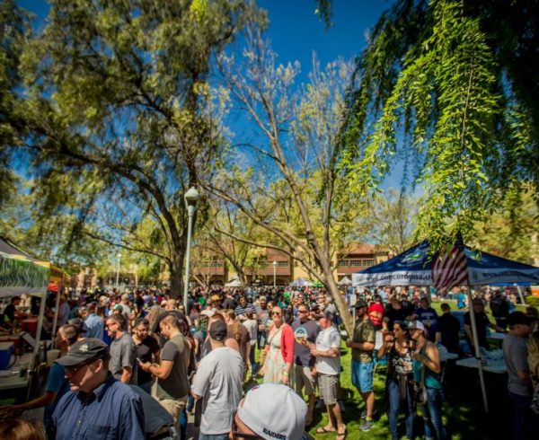 Spring Brews Festival
