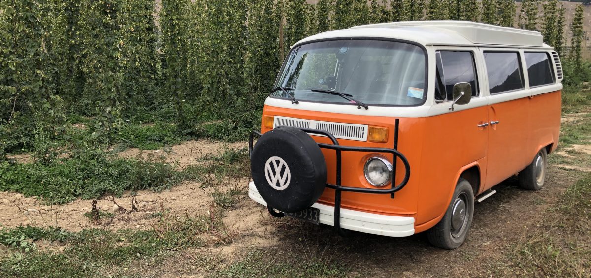 Kombi at Hop Revolution Farm in New Zealand