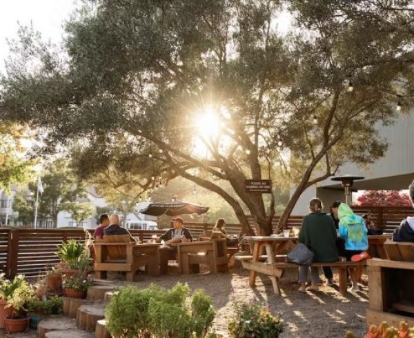 Canyon Club Brewery patio with sun shining through trees