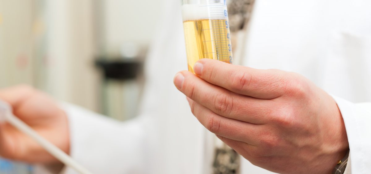 Brewer in the laboratory of his brewery and is doing analysis