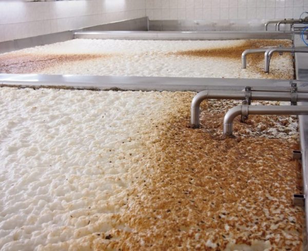 Fermenting of a beer in an open fermenters in a brewery.